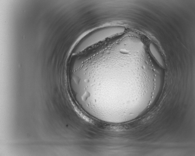 X0000080130792200612302035