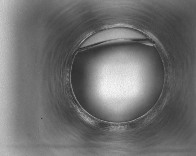 X0000080130793200612302035