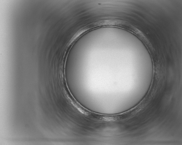 X0000080130794200612302035