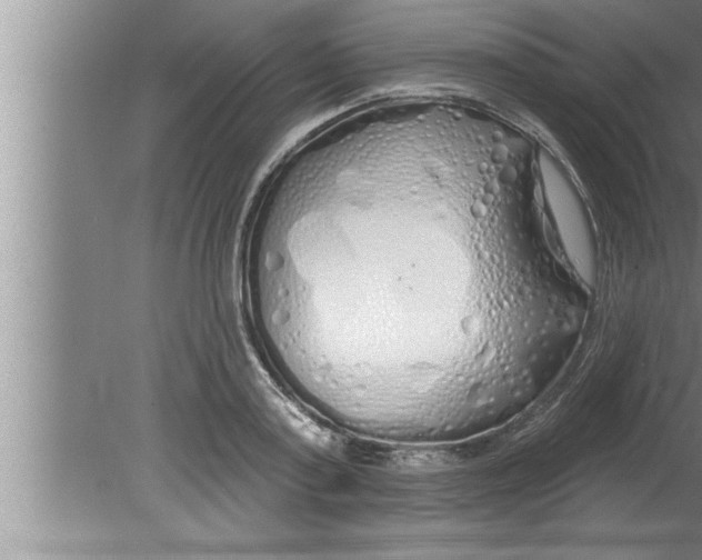 X0000080130795200612302035