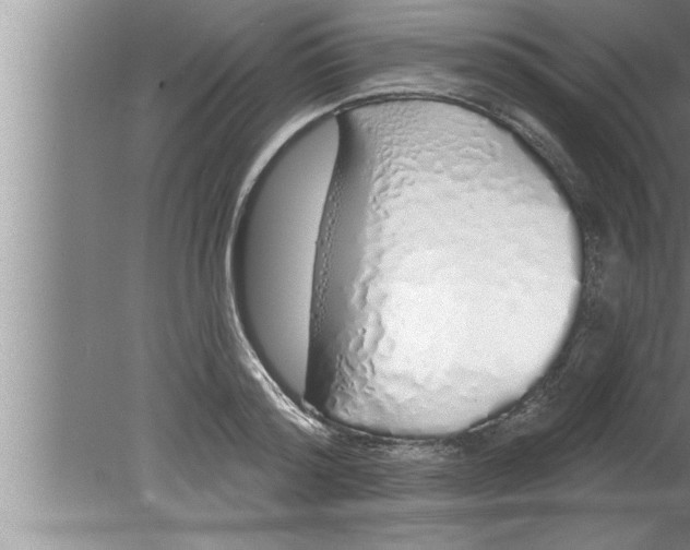 X0000080130796200612302035