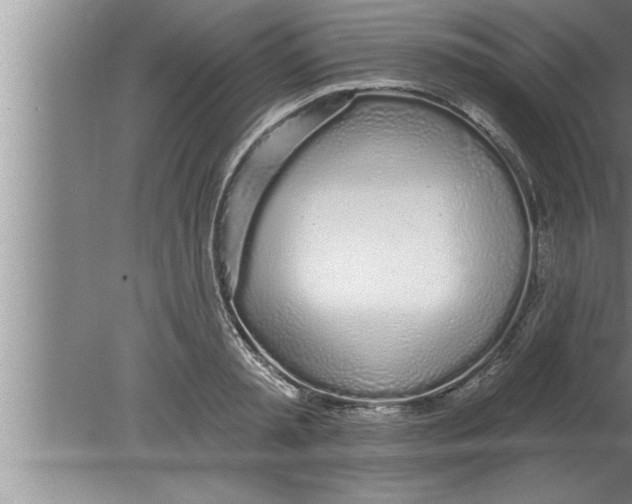 X0000080130797200612302035