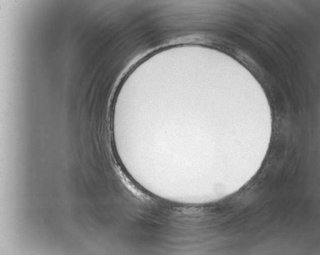 X0000080130800200612302034