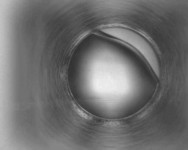 X0000080130801200612302034