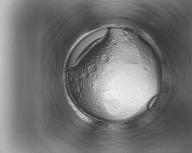 X0000080130803200612302034