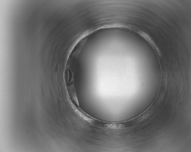 X0000080130805200612302034