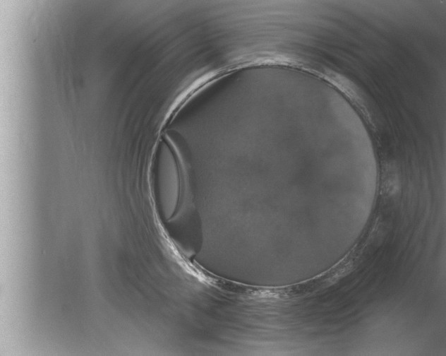 X0000080130806200612302034