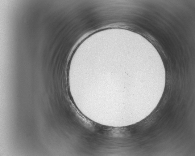 X0000080130808200612302034