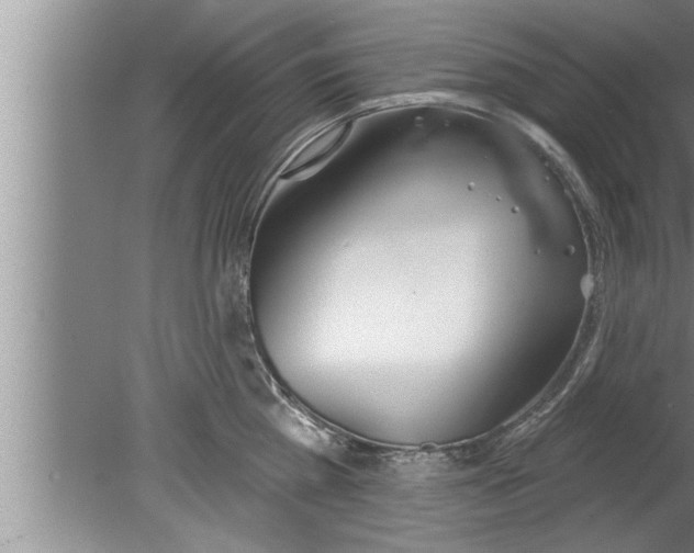 X0000080130809200612302034