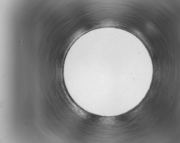 X0000080130810200612302034