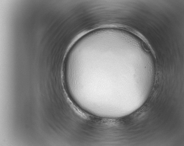 X0000080130811200612302034