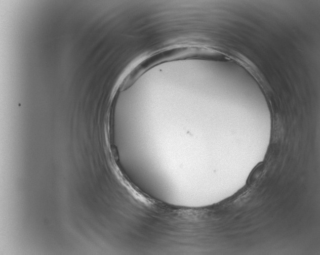 X0000080130812200612302034