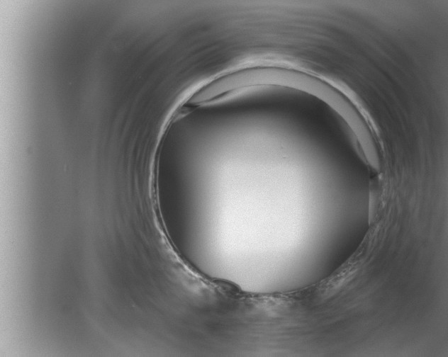 X0000080130815200612302034