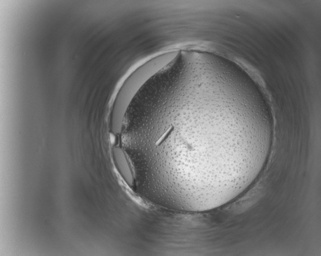 X0000080130816200612302034