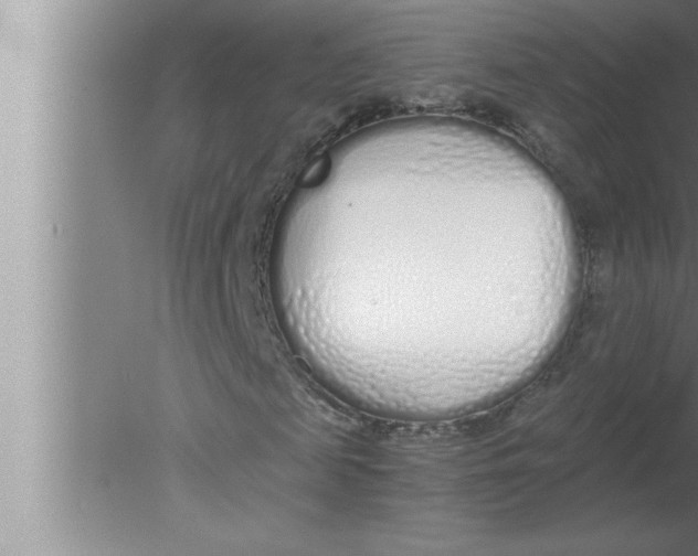 X0000080130817200612302033