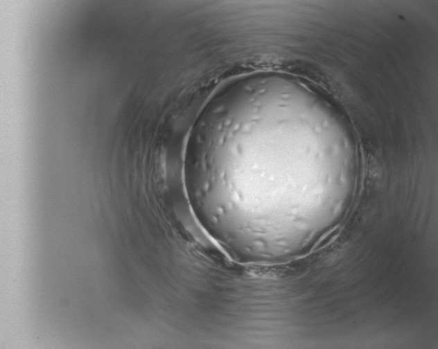 X0000080130818200612302033