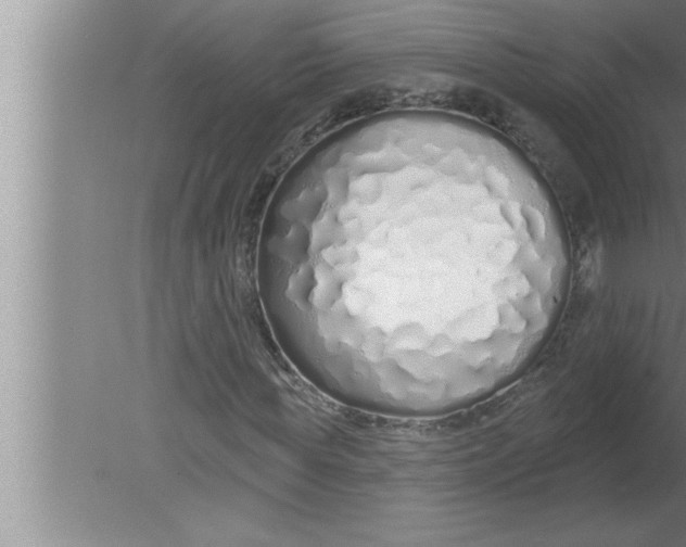 X0000080130819200612302033