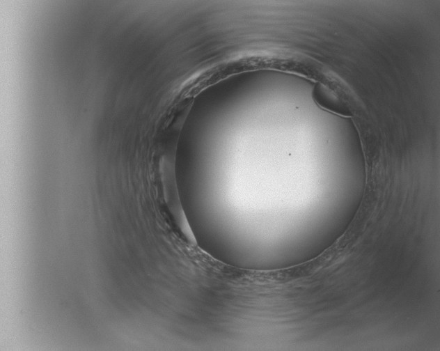 X0000080130822200612302034