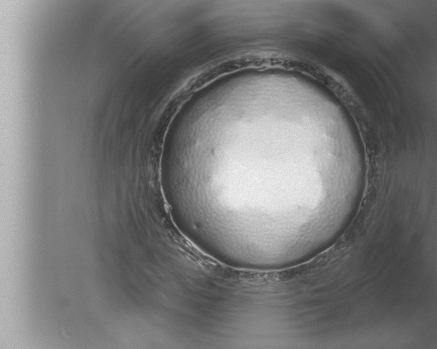 X0000080130823200612302034