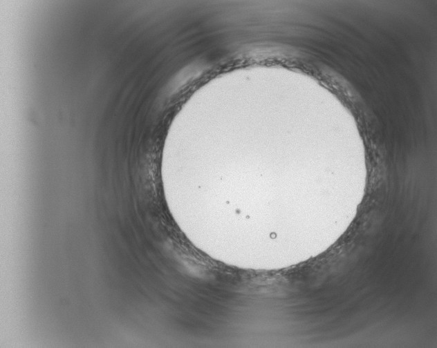 X0000080130824200612302034