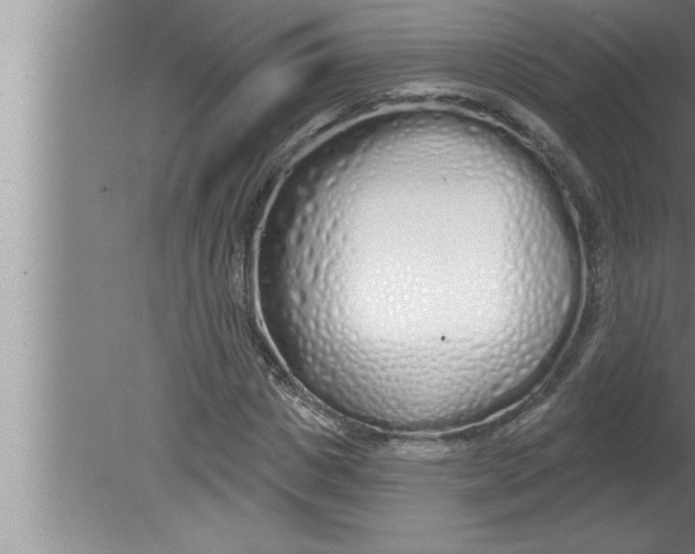 X0000080130825200612302034