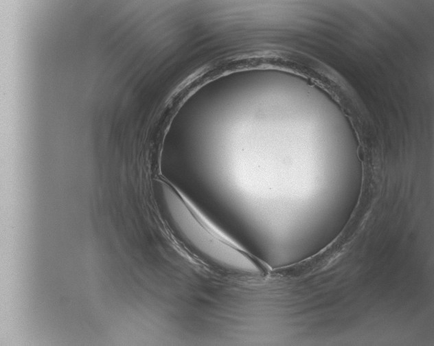 X0000080130826200612302034