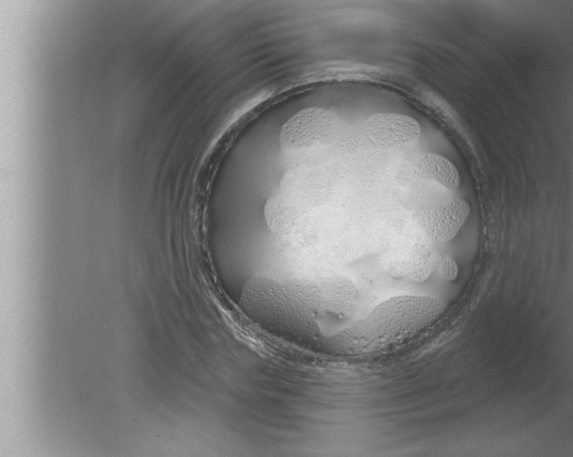 X0000080130827200612302034