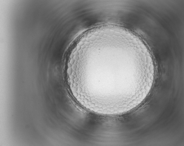 X0000080130828200612302034