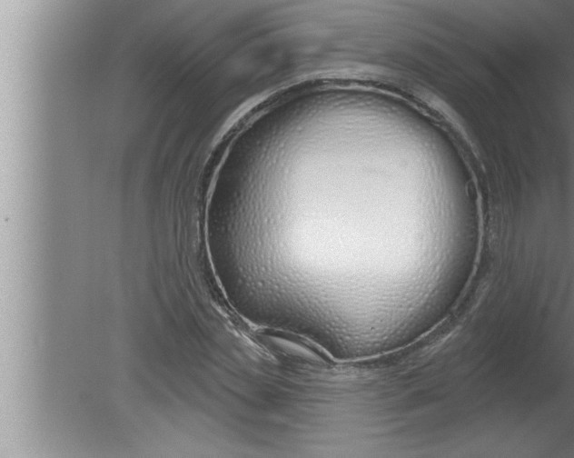 X0000080130829200612302034