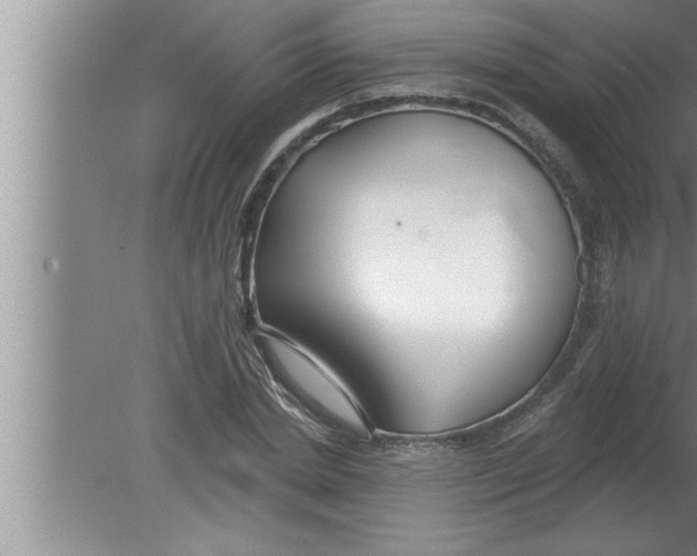 X0000080130830200612302034