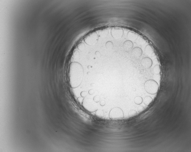 X0000080130832200612302034