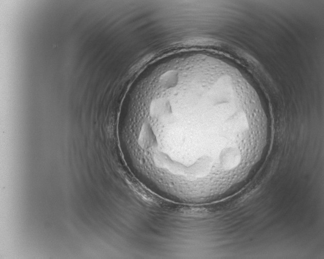 X0000080130833200612302034