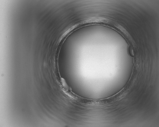 X0000080130834200612302034