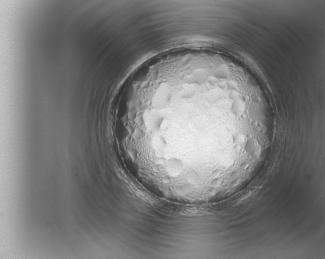 X0000080130835200612302034