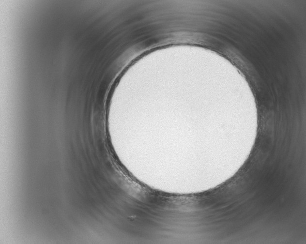 X0000080130836200612302034