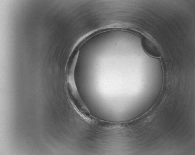 X0000080130838200612302034