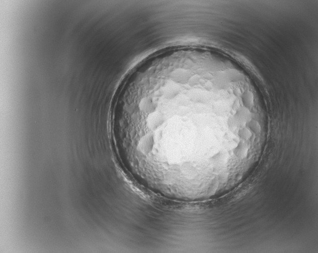 X0000080130839200612302034