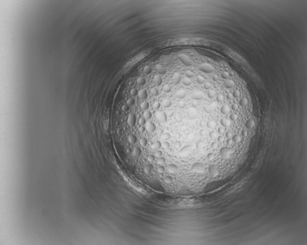 X0000080130841200612302034