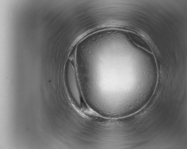 X0000080130842200612302034