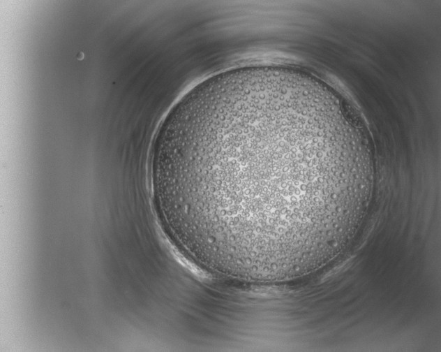 X0000080130843200612302034