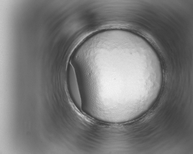 X0000080130844200612302034