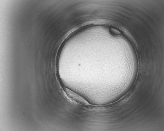 X0000080130845200612302034