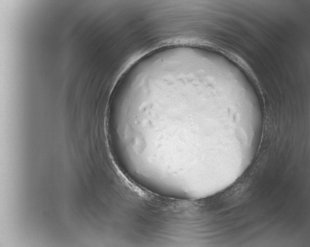 X0000080130847200612302034