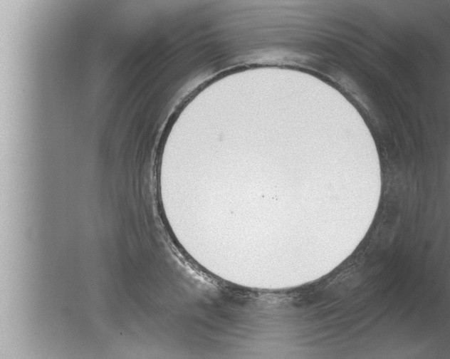 X0000080130848200612302034