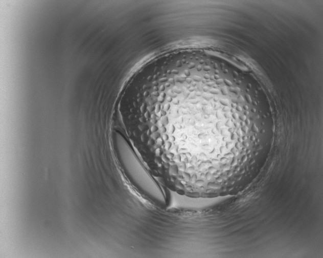 X0000080130850200612302034