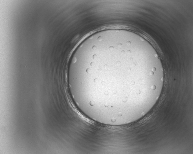 X0000080130852200612302034