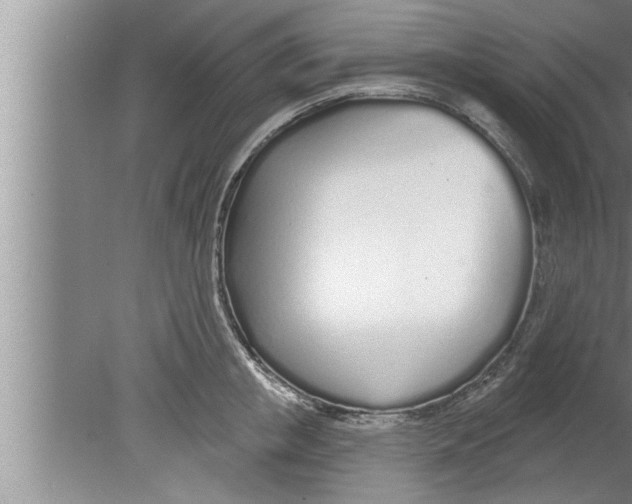 X0000080130853200612302034