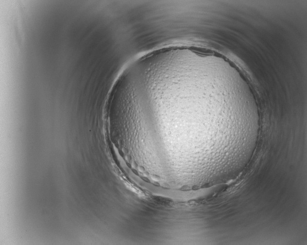 X0000080130854200612302034