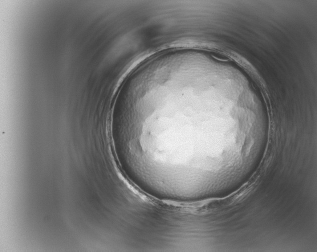 X0000080130855200612302034