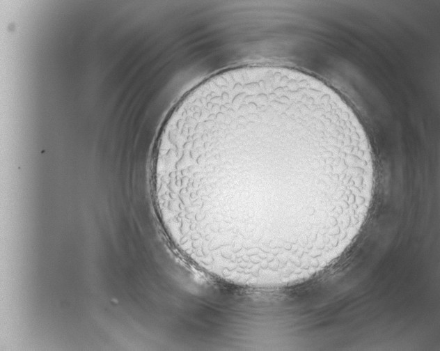 X0000080130856200612302034